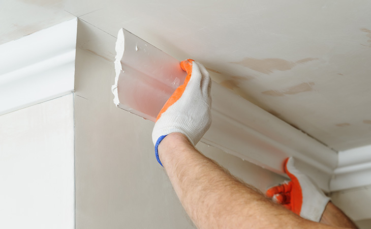 Crown Moulding Installation