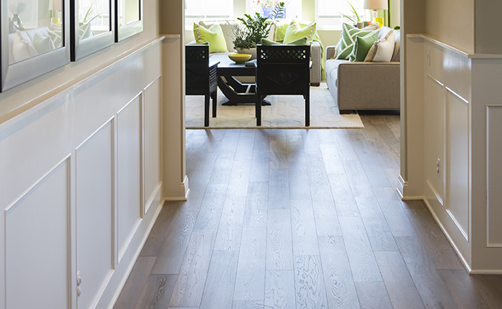 Wainscoting And Panelling